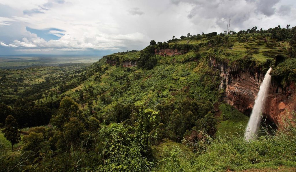 Elgon Rwenzori