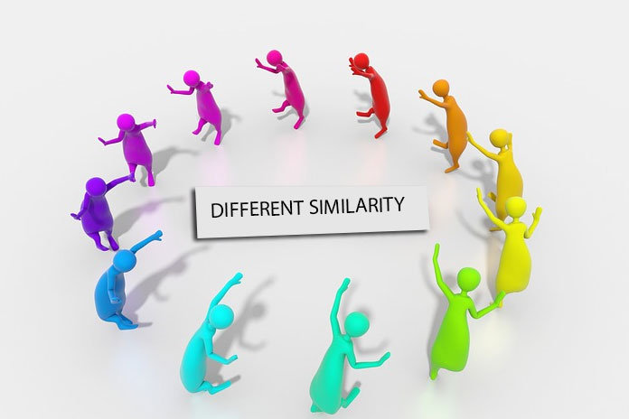 DIFFERENT-SIMILARITY